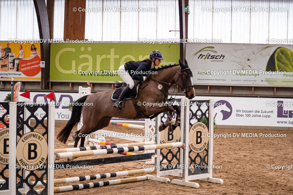 Kranichstein Tag 2-155 | dv-media-shop - Realisiert mit Pictrs.com