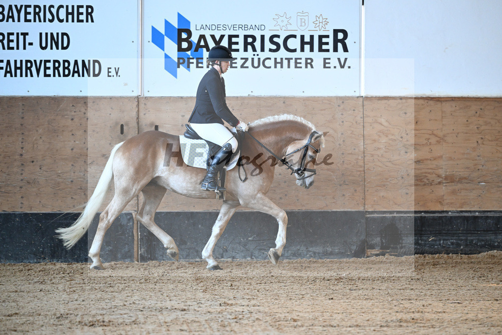 Kat-Nr. 4 Bonfire v. Bon Jovi_Freidhof-Debes_43250130 | hf-fotografie - Realisiert mit Pictrs.com