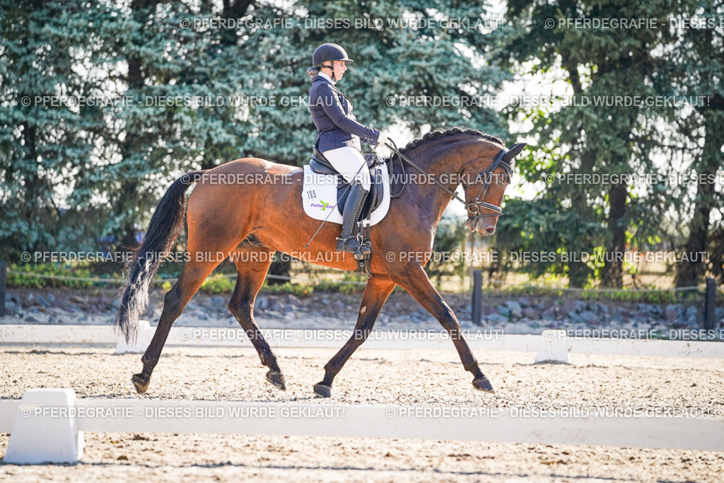 DSC09747 | Pferdegrafie