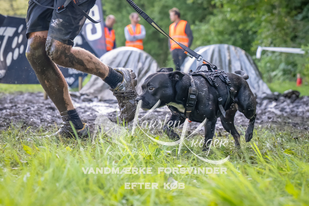 1110_ZZ93467-Bearbeitet | kk-dogfotos