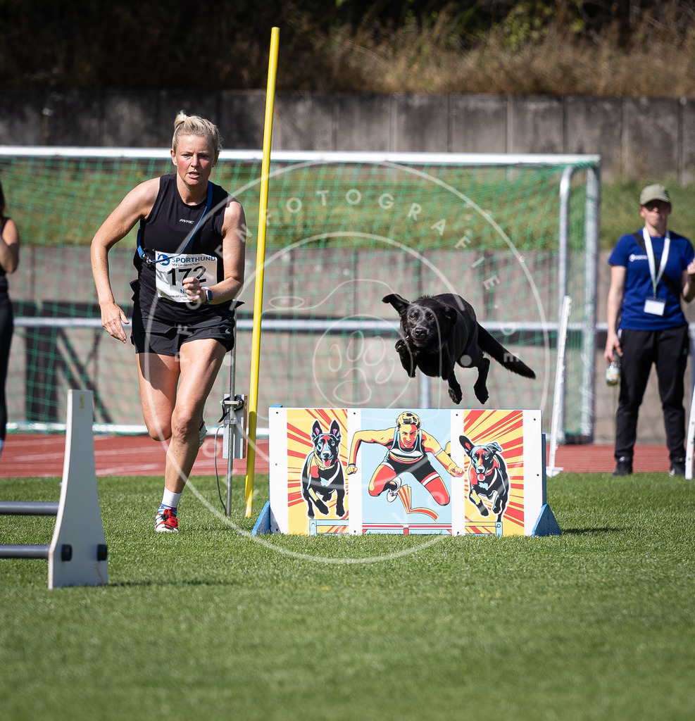 Pfotenfotografie_DV3A9973 | Hundefotografie, Tierfotograf, Pfotenfotografie, Fotoshooting Hund, Hunde Portrait, Hundesport, Hundeportraits, Heideshooting, Hunde, Sportfotograf, Hundefotograf, Turnierhundsport, THS,  - Realisiert mit Pictrs.com