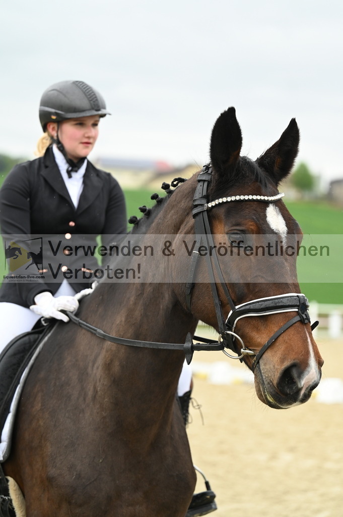 DSC_0200 | equestrian-live-com