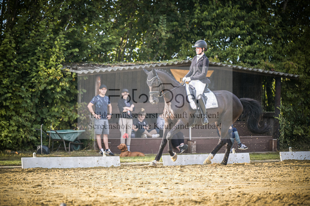DOS_0864 | Entdecke hochwertige Reitturnierfotos von Foto Oger. Professionell, emotional und authentisch – jetzt Lieblingsmomente im Shop bestellen.Deutschlandweite Turnierfotografie. - Realisiert mit Pictrs.com