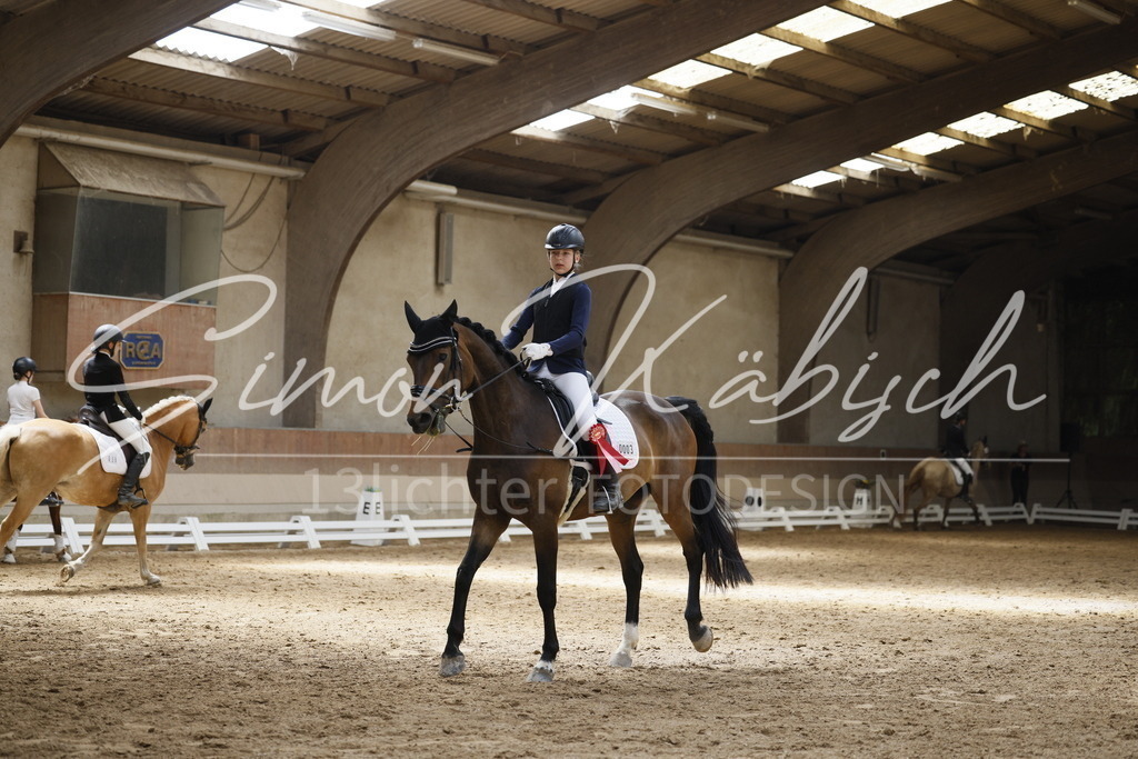 _3LI2675 | Tierfotografie Pferde, Hunde, Katzen, Haustiere.
Turnierfotografie Reitturniere, Reiten, Springreiten, Dressur in Hanau, dem Main-Kinzig-Kreis und dem Rhein-Main- Gebiet um Frankfurt