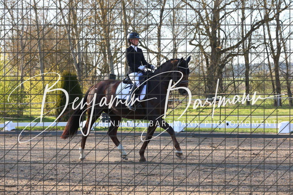 AZ2A6796 | Benjamin Bartmann Photomoments