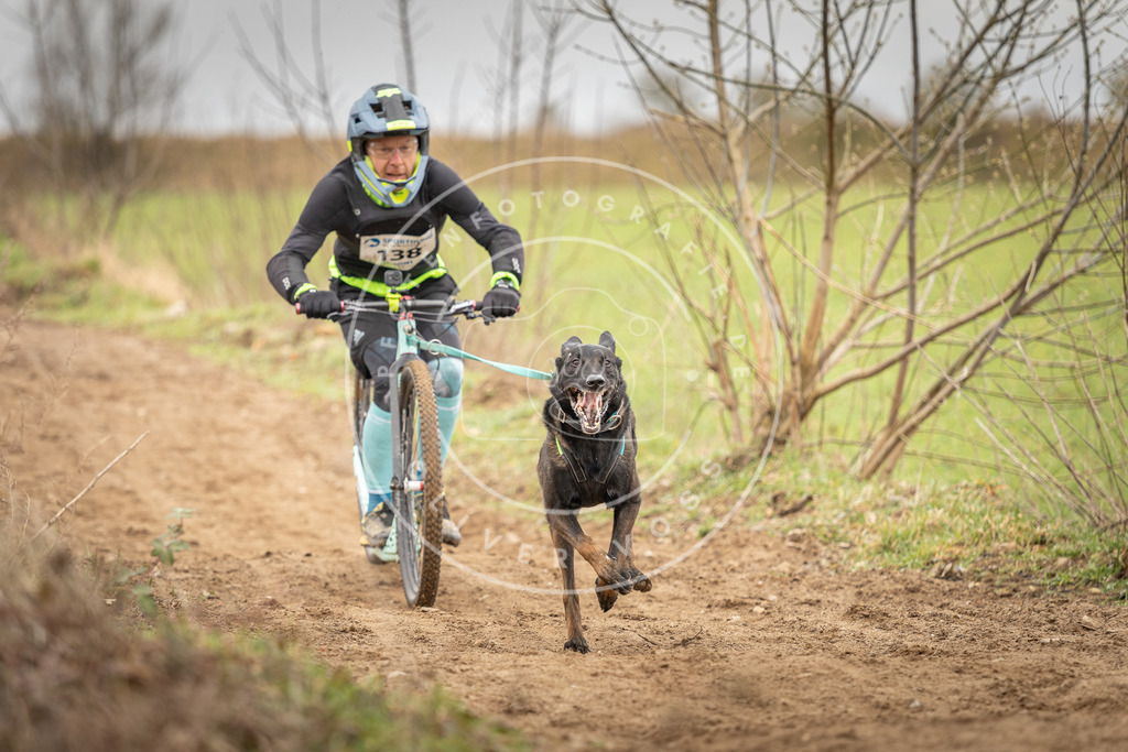 DV3A1350 | Hundefotografie, Tierfotograf, Pfotenfotografie, Fotoshooting Hund, Hunde Portrait, Hundesport, Hundeportraits, Heideshooting, Hunde, Sportfotograf, Hundefotograf, Turnierhundsport, THS,  - Realisiert mit Pictrs.com