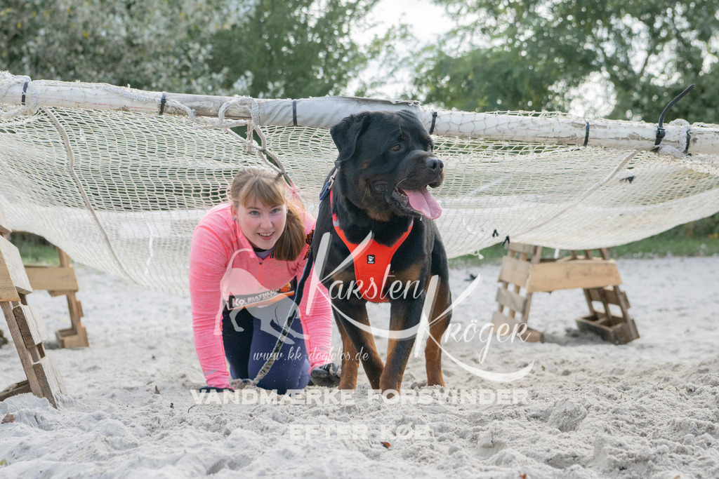 1338_ZZ98201 | kk-dogfotos