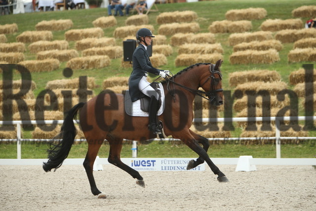 Birkhof_2022_Dressurprüfung_Kl.S_iWest_Stephanie Witzemann_Balios Primus (10) | Alle Fotos der Reiterjournal Fotografin Doris Matthaes im Reiterjournal Online-Fotoshop. - Realisiert mit Pictrs.com