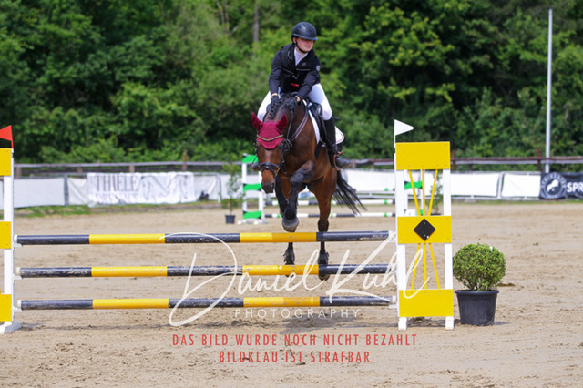 DKP41654 | Turniersportfotografie; Pferdefotografie; Dressurfotografie