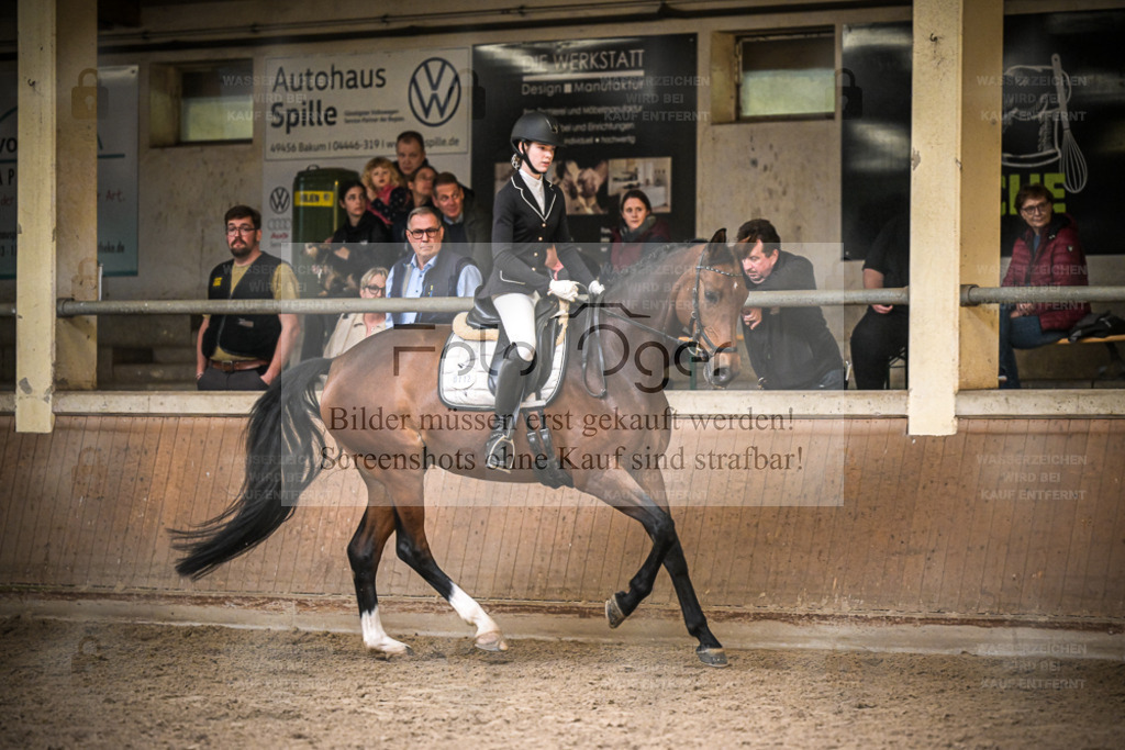 DOS_0189 | Entdecke hochwertige Reitturnierfotos von Foto Oger. Professionell, emotional und authentisch – jetzt Lieblingsmomente im Shop bestellen. - Realisiert mit Pictrs.com