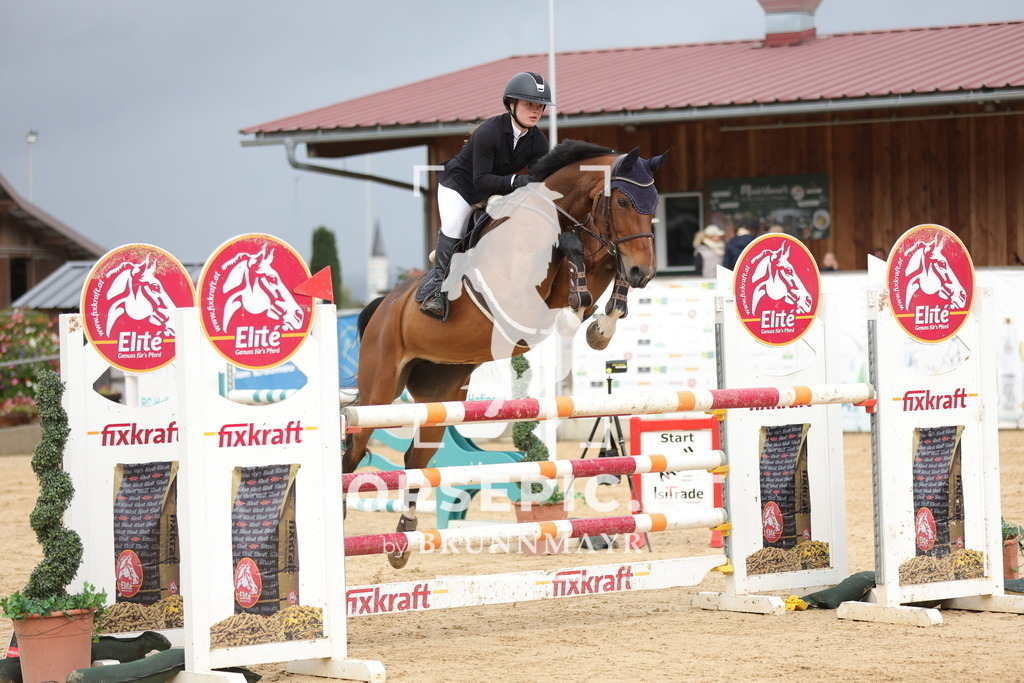 0P6A8894 | Willkommen bei Brunnmayr - Design & Fotografie – Ihrem Spezialisten für Reitturniere und Pferdeveranstaltungen in Oberösterreich, Salzburg und Bayern! Seit über 17 Jahren sind wir leidenschaftlich dabei.