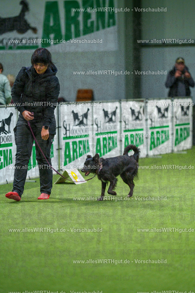 7R505752 | Professionelle Tierfotografie in Mönchengladbach von Daniel Wirth (allesWIRTHgut). Liebevolle & natürliche Bilder von Hunden & Katzen für unvergessliche Erinnerungen.