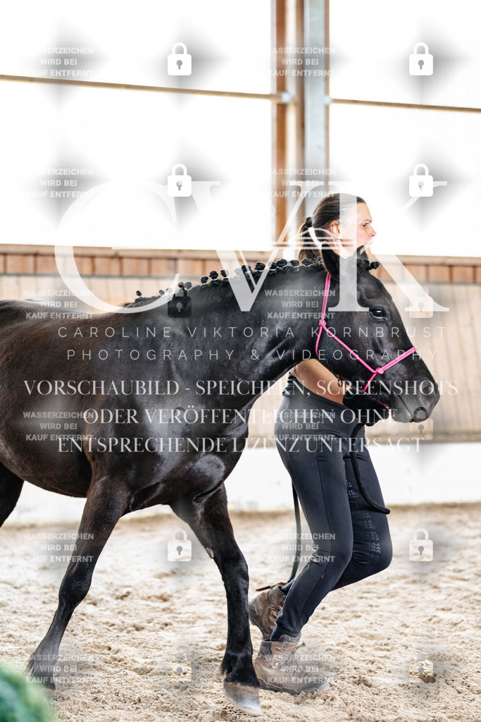 CK908361 | Turnierfotografie Pferdefotografie Trier Rheinland-Pfalz Pferdesport Reitsport Tierfotografie Sportfotografie Pferdevideo Pferdevideografie Equestrianvideography equestrianphotography  - Realisiert mit Pictrs.com