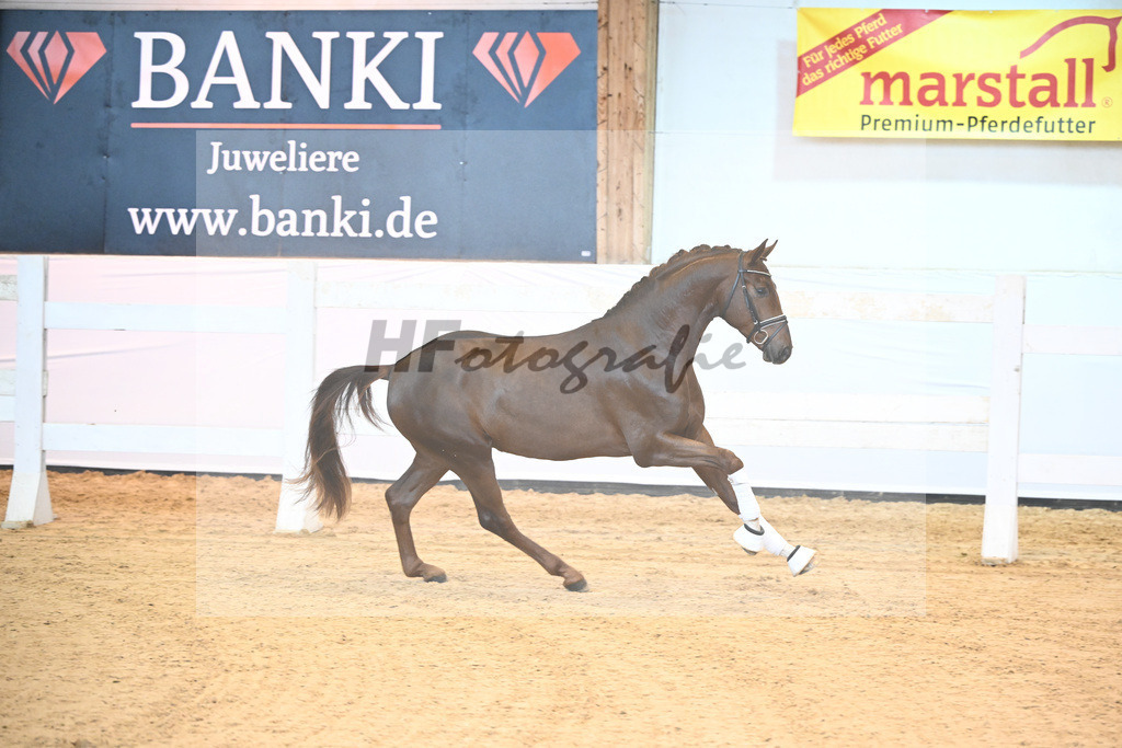 Kat-Nr. 19 v. Fidertanz_La Rue_6240412 | hf-fotografie - Realisiert mit Pictrs.com