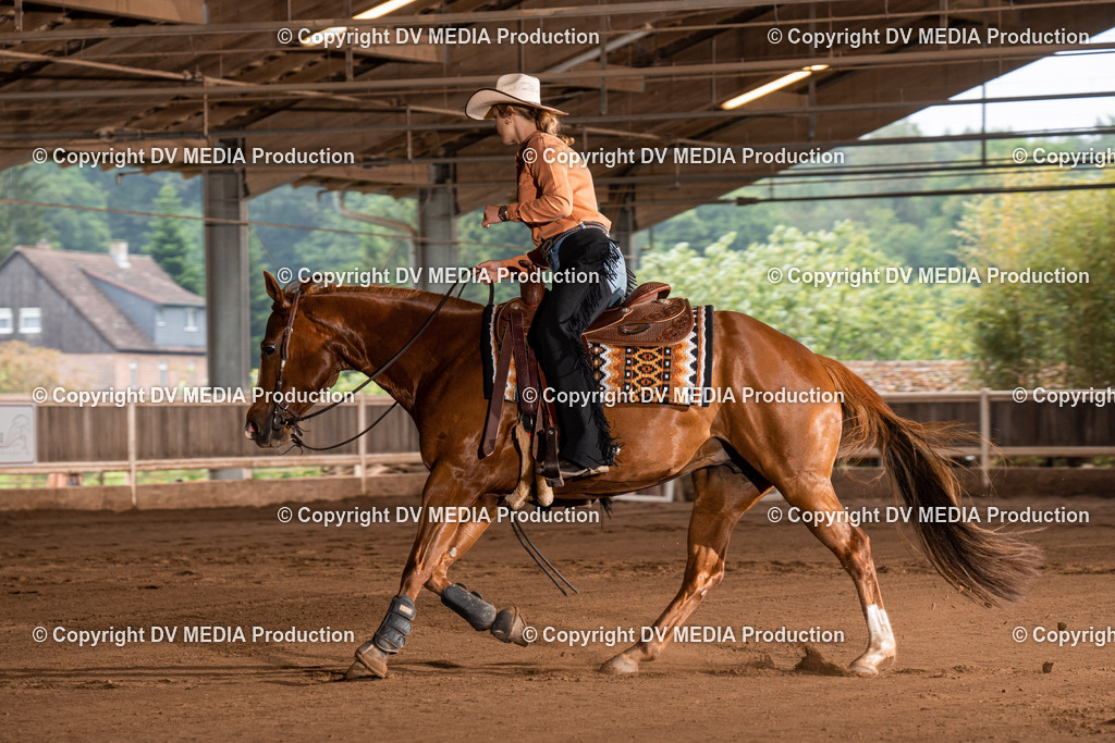 Erbach Tag 2-788 | dv-media-shop - Realisiert mit Pictrs.com