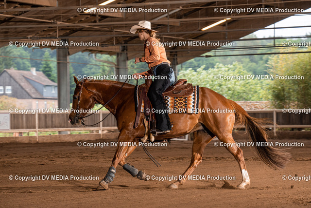 Erbach Tag 2-788 | dv-media-shop - Realized with Pictrs.com