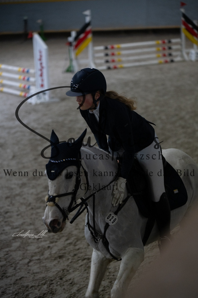 A7V00782 | Pferdefotograf