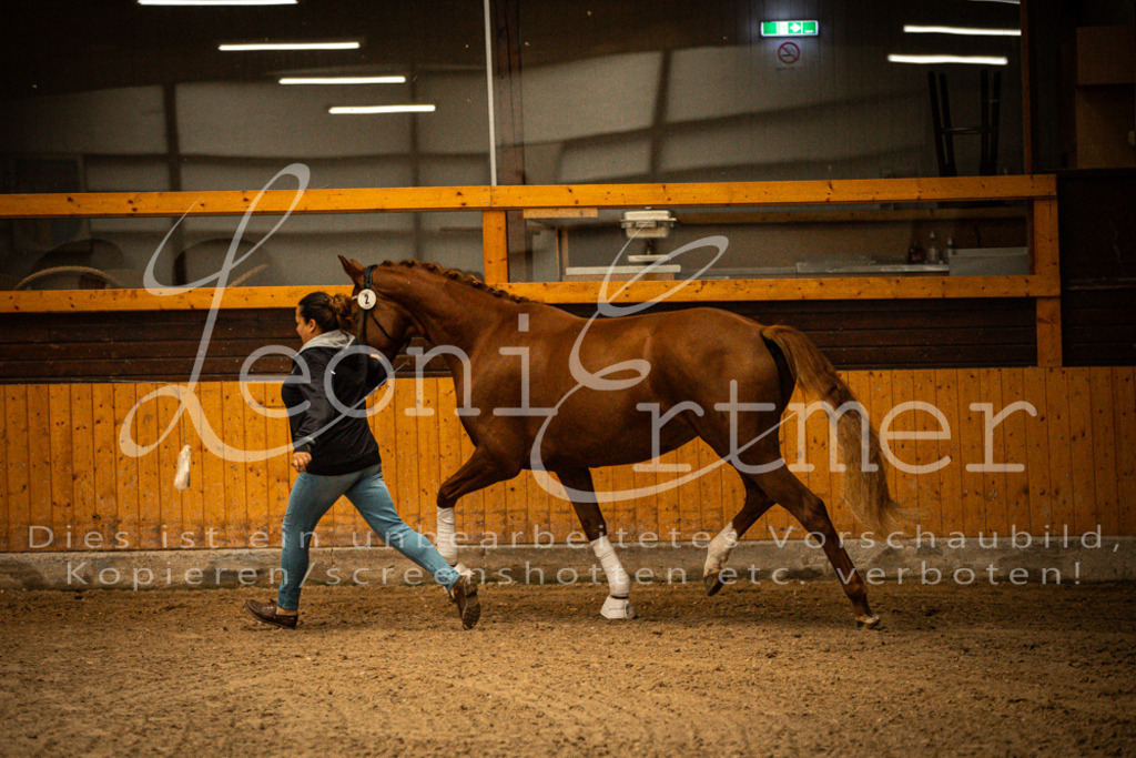 1FS_L00045 | Leoni Ertmer Photography - Realisiert mit Pictrs.com