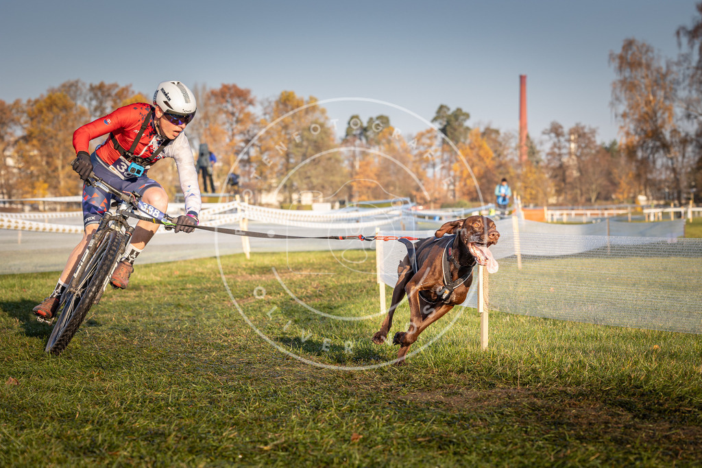 CaniXpix_0L8A3823 | Hundefotografie, Tierfotograf, Pfotenfotografie, Fotoshooting Hund, Hunde Portrait, Hundesport, Hundeportraits, Heideshooting, Hunde, Sportfotograf, Hundefotograf, Turnierhundsport, THS,  - Realisiert mit Pictrs.com
