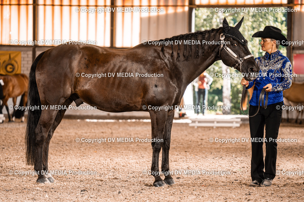 ZH100031 | dv-media-shop - Realisiert mit Pictrs.com