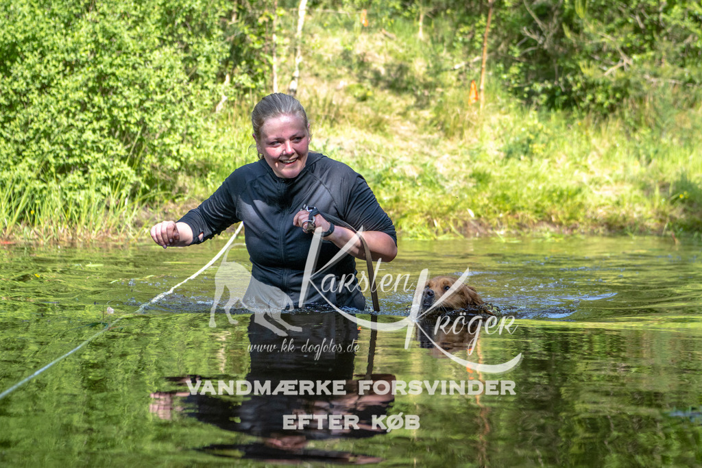 0950DKK9_ZZ93250 | kk-dogfotos