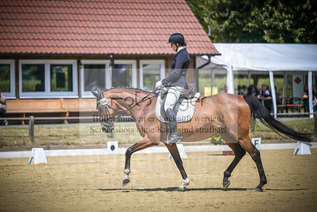 DOS_4494 | Entdecke hochwertige Reitturnierfotos von Foto Oger. Professionell, emotional und authentisch – jetzt Lieblingsmomente im Shop bestellen.Deutschlandweite Turnierfotografie. - Realisiert mit Pictrs.com