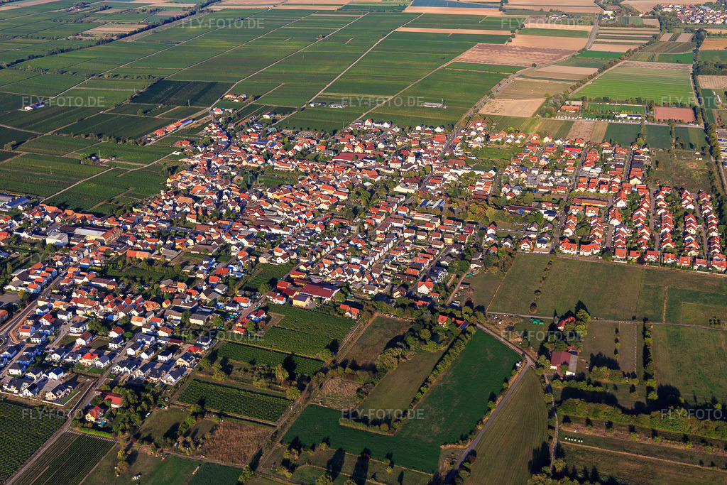 Luftbild: Winzerdorfansicht zwischen Weinbergen aus Westen in Niederkirchen bei Deidesheim im Bundesland Rheinland-Pfalz in Deutschland. Foto: IMG_111822.jpg vom 16.09.2018 durch Werner Riehm/FLY-FOTO.de
