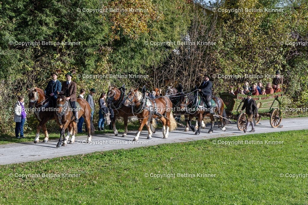 LBT24-698 | foto-bettina-krinner - Realisiert mit Pictrs.com