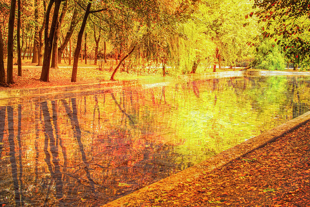 Reverie | Bring the warm bright colors of this dreamy abstract landscape into your home or workplace. Best for living rooms, cozy offices, rustic interiors. This is a preview image. The original has a resolution of 10630 x 7087 px. - Realisiert mit Pictrs.com