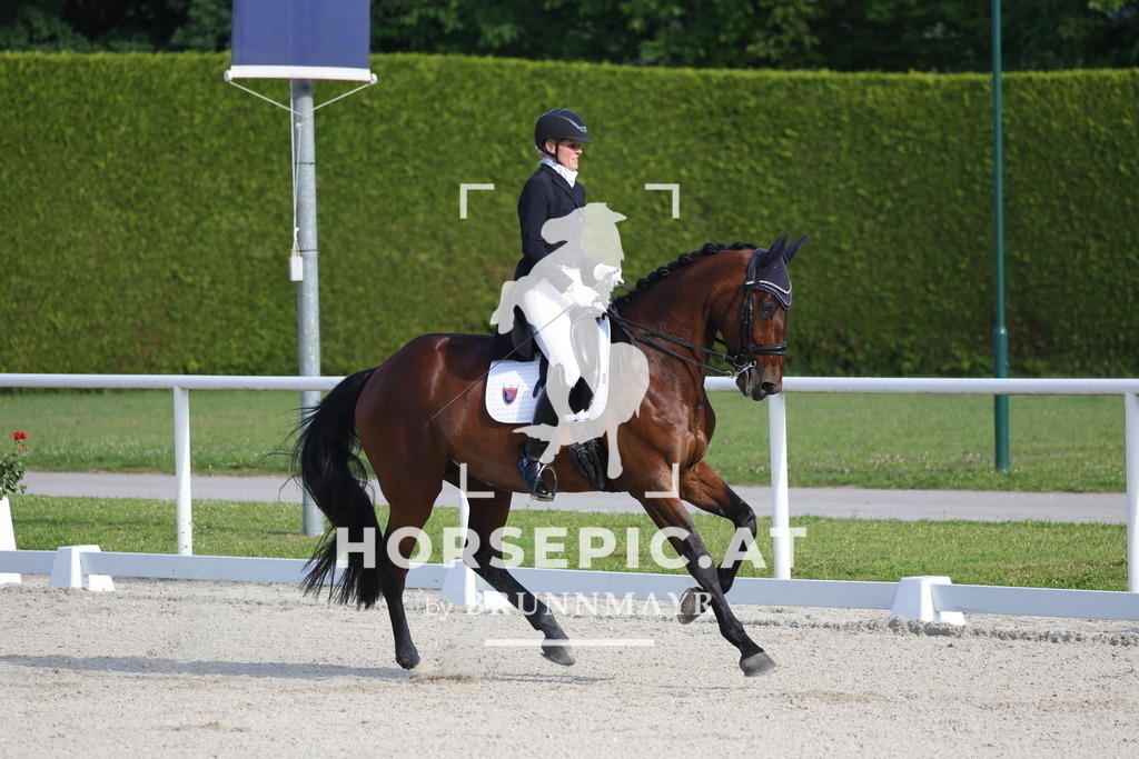 0P6A3662 | Willkommen bei Brunnmayr - Design & Fotografie – Ihrem Spezialisten für Reitturniere und Pferdeveranstaltungen in Oberösterreich, Salzburg und Bayern! Seit über 17 Jahren sind wir leidenschaftlich dabei.