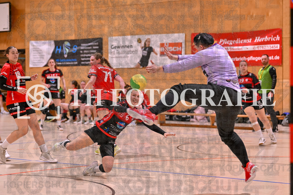 GER, SG Maulburg/Steinen - SG Muggensturm/Kuppenheim, Handball, Suedbadenliga, 17. Spieltag, Saison 2023/2024, 09.03.2024 | Anna Klein (SG Muggensturm/Kuppenheim, #06) wirft den Ball Richtung Stefanie Kovacic (SG Maulburg/Steinen, #01)

GER, SG Maulburg/Steinen - SG Muggensturm/Kuppenheim, Handball, Suedbadenliga, 17. Spieltag, Saison 2023/2024, 09.03.2024

Foto: TH Fotografie/Thomas Hess