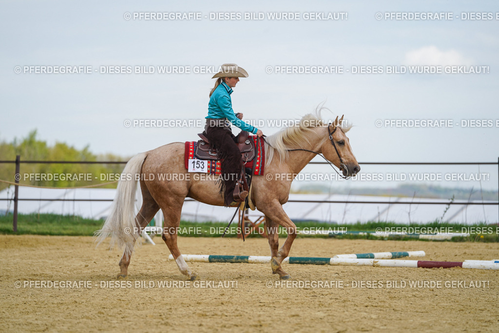 DSC05367 | Pferdegrafie