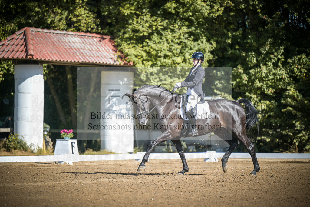 DOS_2654 | Entdecke hochwertige Reitturnierfotos von Foto Oger. Professionell, emotional und authentisch – jetzt Lieblingsmomente im Shop bestellen.Deutschlandweite Turnierfotografie. - Realisiert mit Pictrs.com
