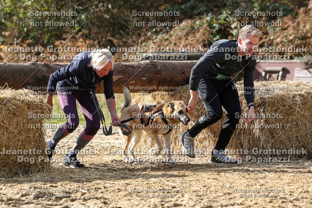 Dog Paparazzi - Strongdog 10-25-5750 | Dog Paparazzi Jeanette Grottendiek Fotografie & Videografie