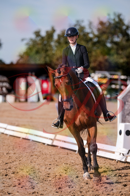 2026_10_03_Siefer-Hof_130749_Z81_58978038 | Professionelle Reitsport-, Turnier- und Eventfotografie von Robert Broda. Galerien mit ausgewählten und bearbeiteten Bildern direkt online ansehen und bestellen.
