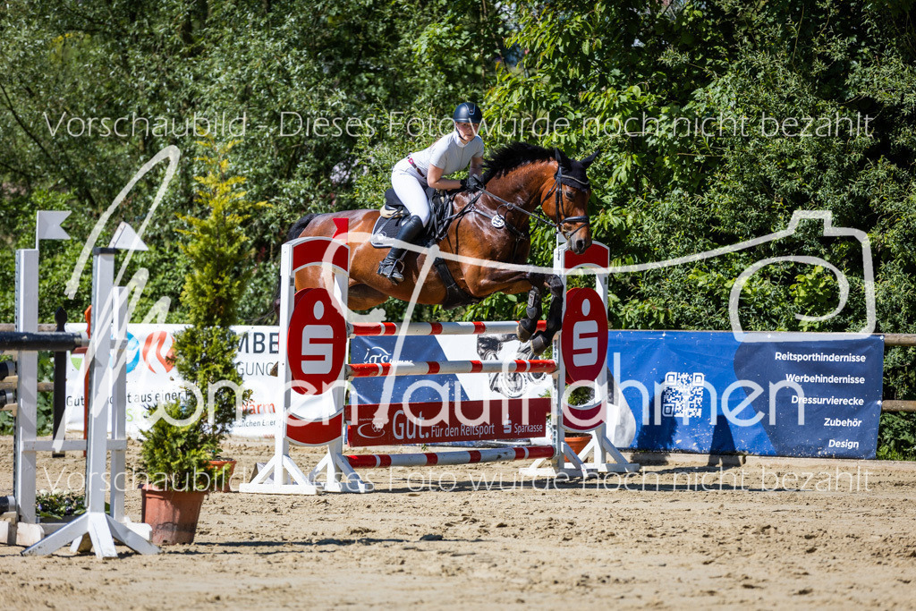 Donop24-M-Spr-065 | MomenTaufnahmen Pferdesportfotos