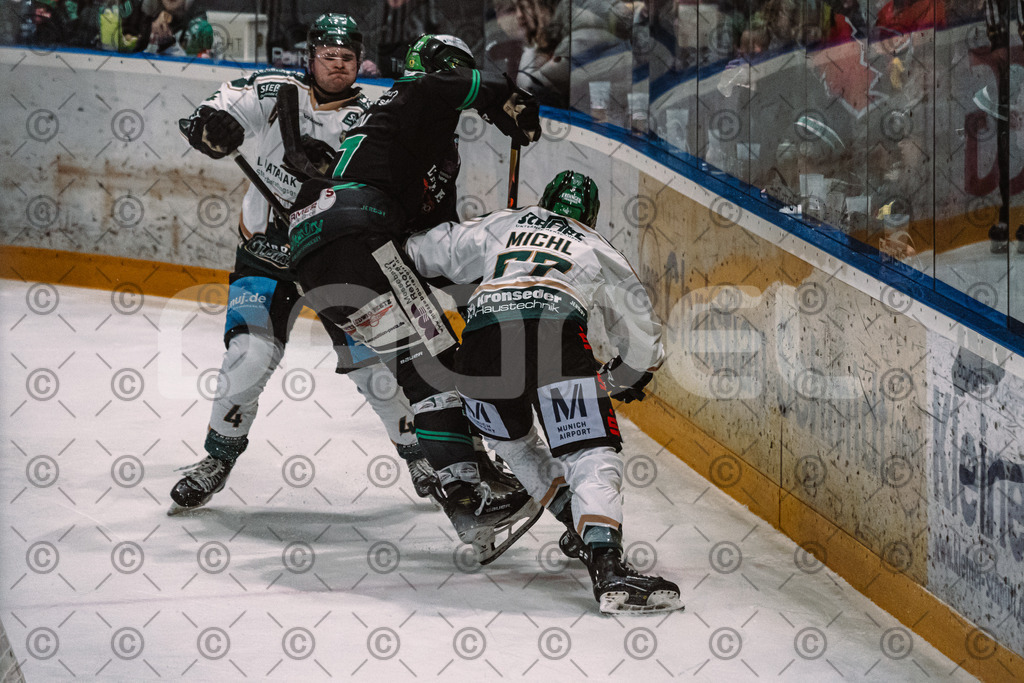 Alligators_vs_Erding_01_02_2026-17 | Höchstadt Alligators Fotogalerie: Eishockey-Action aus Franken. Professionelle Spielfotos, Portraits & Stadionbilder zum Download. Jetzt entdecken! - Realisiert mit Pictrs.com