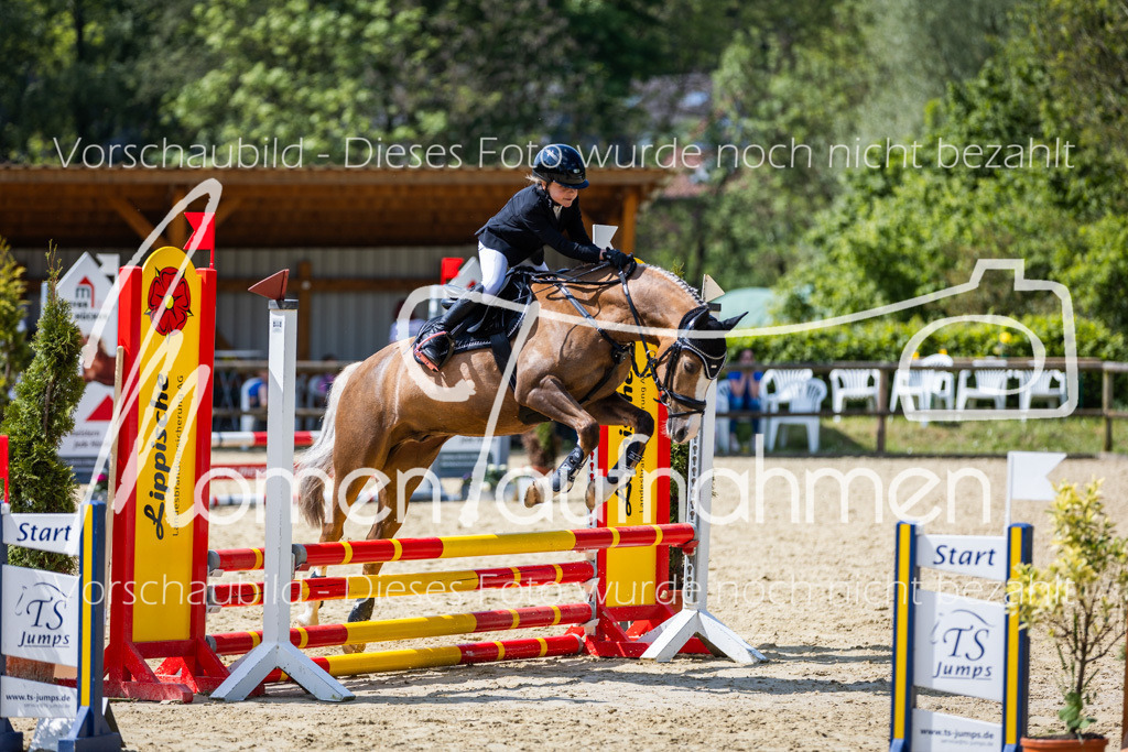 Donop24-SprRW-013 | MomenTaufnahmen Pferdesportfotos