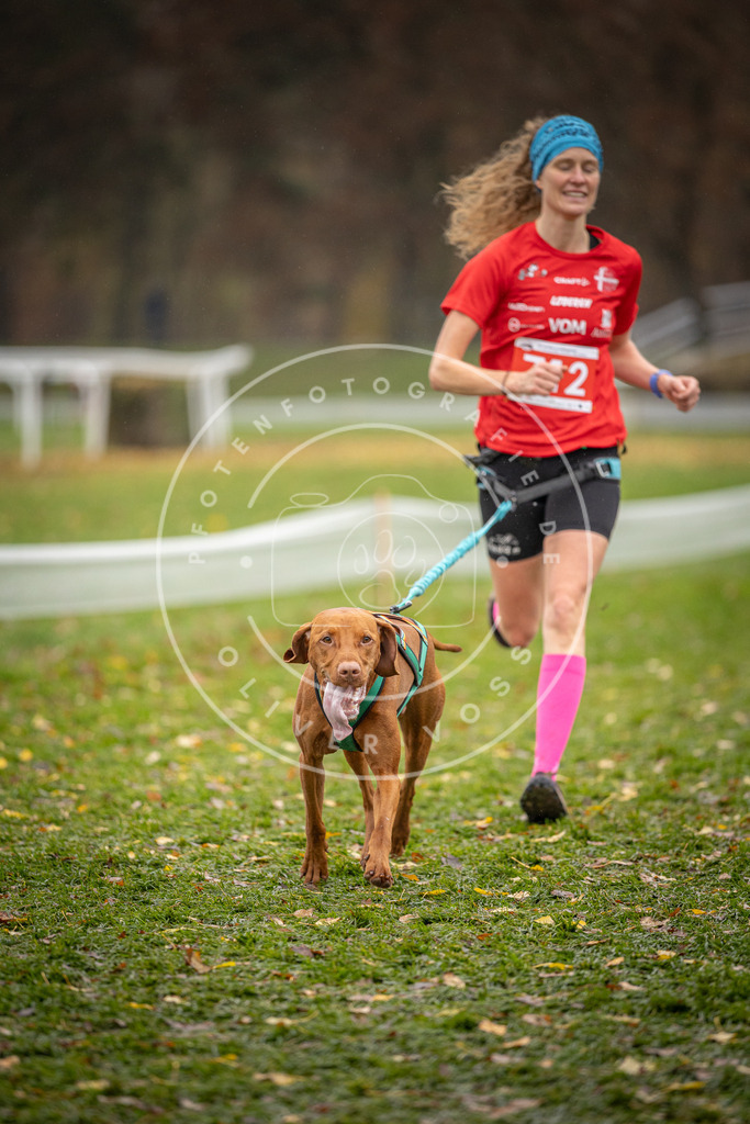 CaniXpix_DV3A9351 | Hundefotografie, Tierfotograf, Pfotenfotografie, Fotoshooting Hund, Hunde Portrait, Hundesport, Hundeportraits, Heideshooting, Hunde, Sportfotograf, Hundefotograf, Turnierhundsport, THS,  - Realisiert mit Pictrs.com