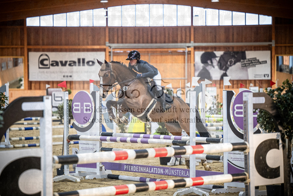 DOS_1235 | Entdecke hochwertige Reitturnierfotos von Foto Oger. Professionell, emotional und authentisch – jetzt Lieblingsmomente im Shop bestellen.Deutschlandweite Turnierfotografie. - Realisiert mit Pictrs.com