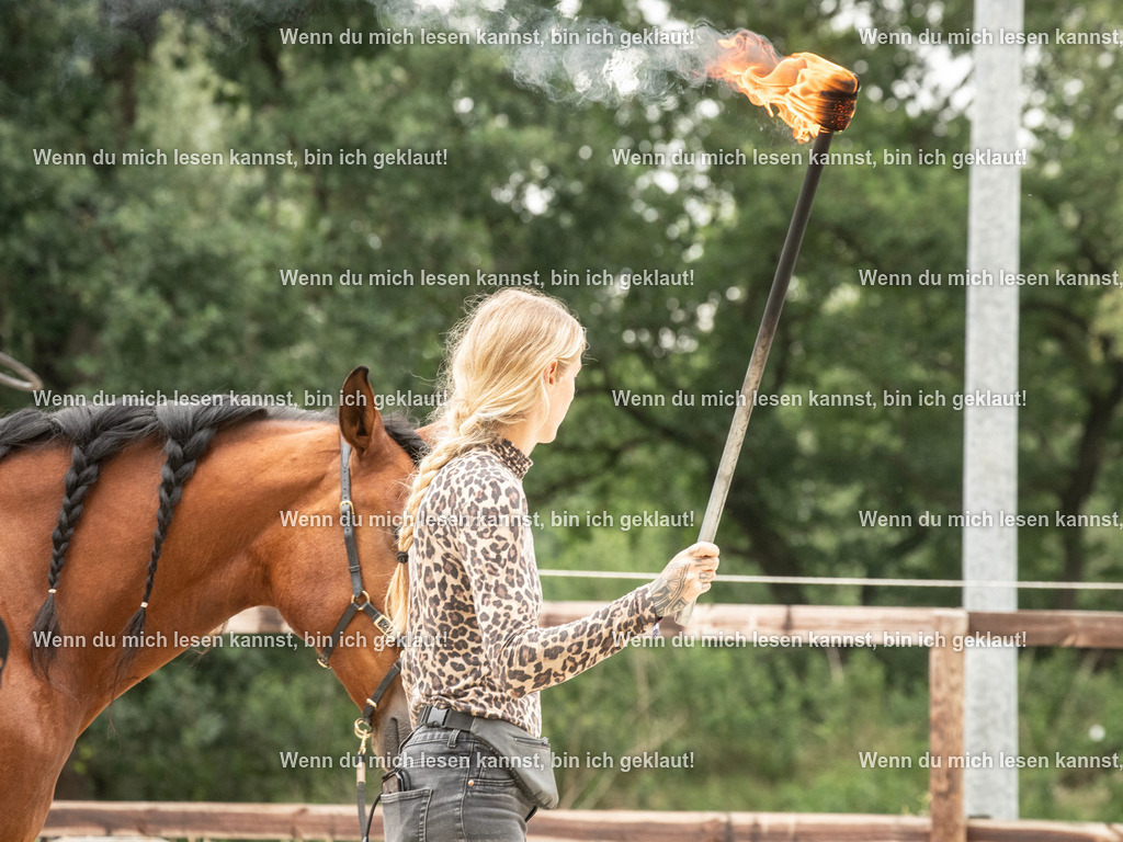 598A7656 | photographylinaismer - Realisiert mit Pictrs.com