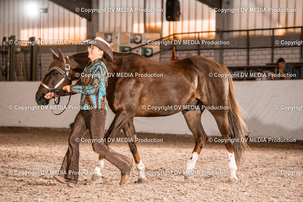 ZH100127 | dv-media-shop - Realisiert mit Pictrs.com