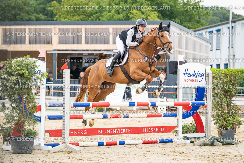 DSC09586 | Pferdegrafie