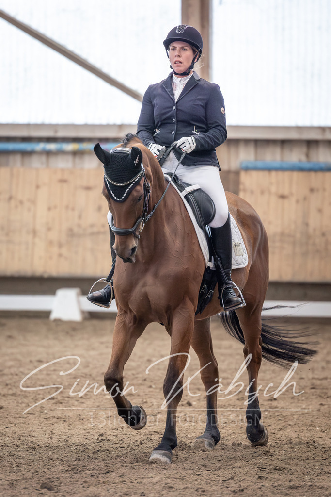 20251011-_3LI1623 | Tierfotografie Pferde, Hunde, Katzen, Haustiere.
Turnierfotografie Reitturniere, Reiten, Springreiten, Dressur in Hanau, dem Main-Kinzig-Kreis und dem Rhein-Main- Gebiet um Frankfurt