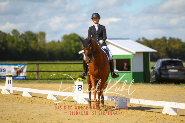 DKP44200 | Turniersportfotografie; Pferdefotografie; Dressurfotografie