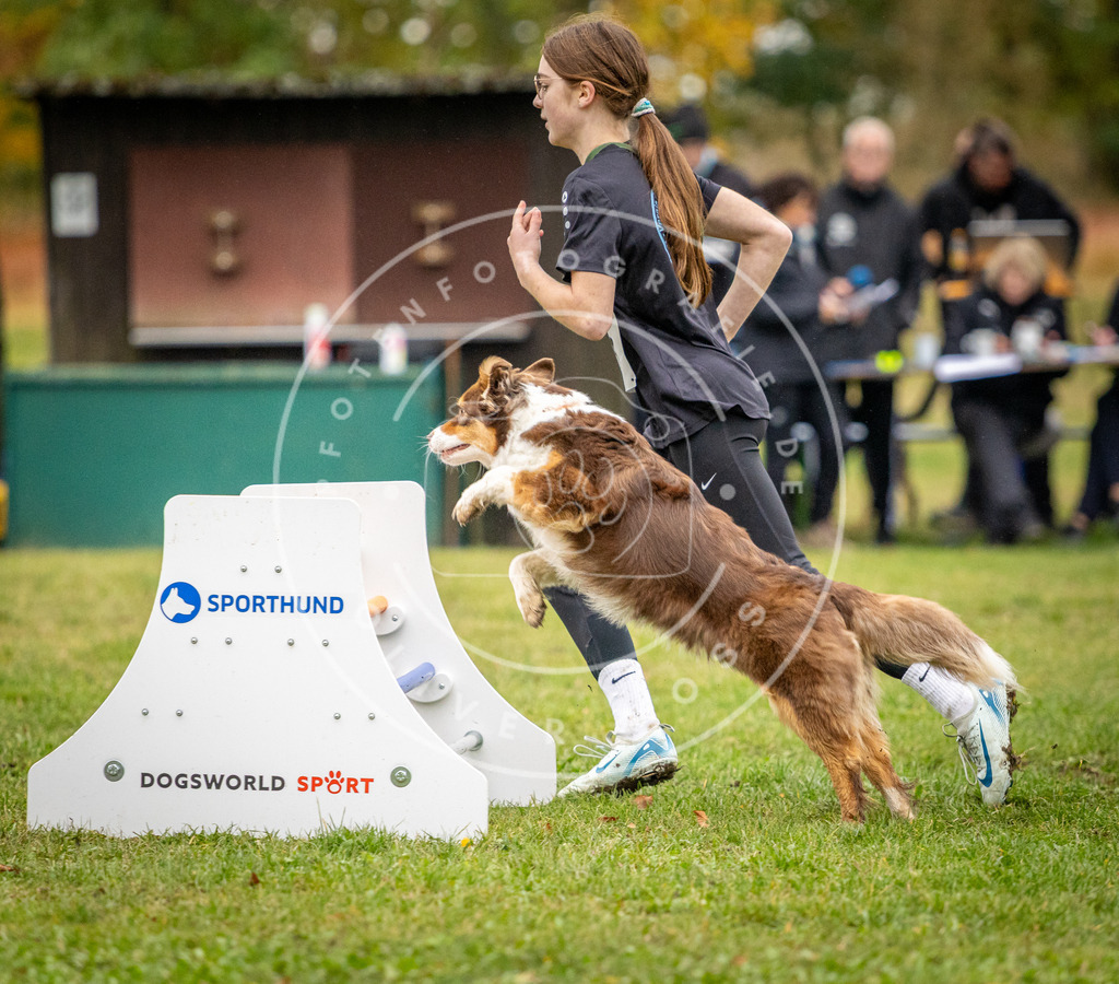 Pfotenfotografie_DV3A0409 | Hundefotografie, Tierfotograf, Pfotenfotografie, Fotoshooting Hund, Hunde Portrait, Hundesport, Hundeportraits, Heideshooting, Hunde, Sportfotograf, Hundefotograf, Turnierhundsport, THS,  - Realisiert mit Pictrs.com