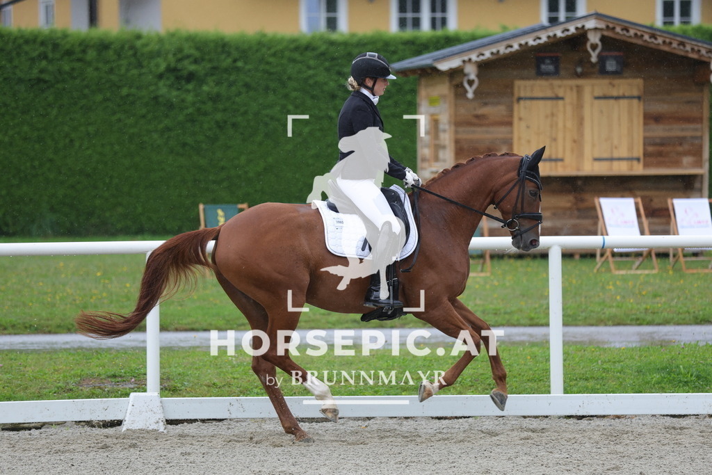 0P6A0167 | Willkommen bei Brunnmayr - Design & Fotografie – Ihrem Spezialisten für Reitturniere und Pferdeveranstaltungen in Oberösterreich, Salzburg und Bayern! Seit über 17 Jahren sind wir leidenschaftlich dabei.