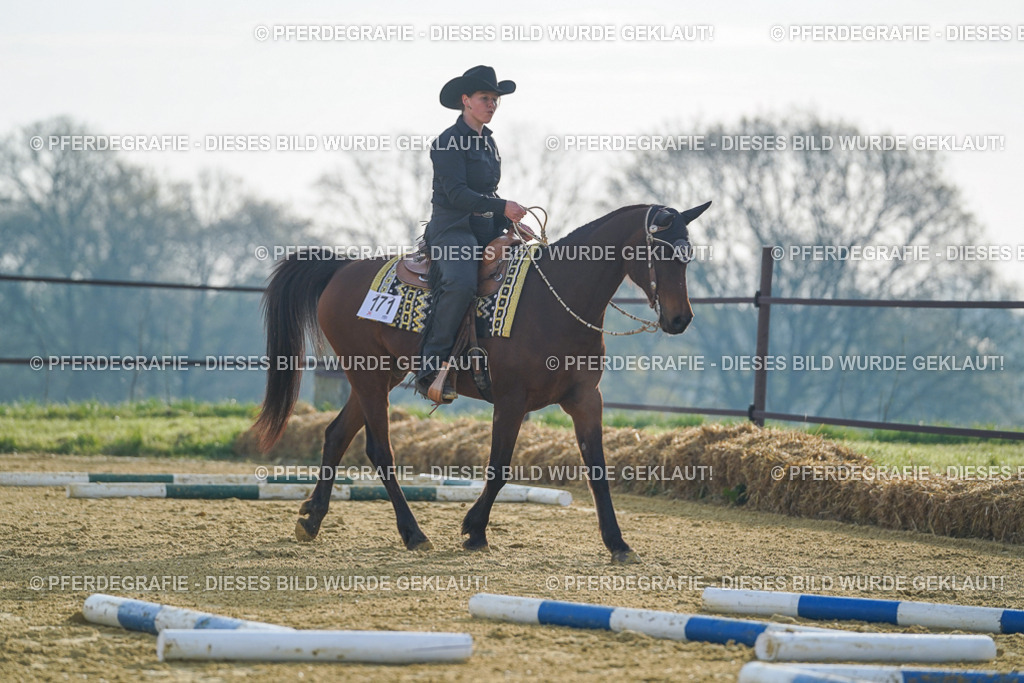 DSC00416 | Pferdegrafie