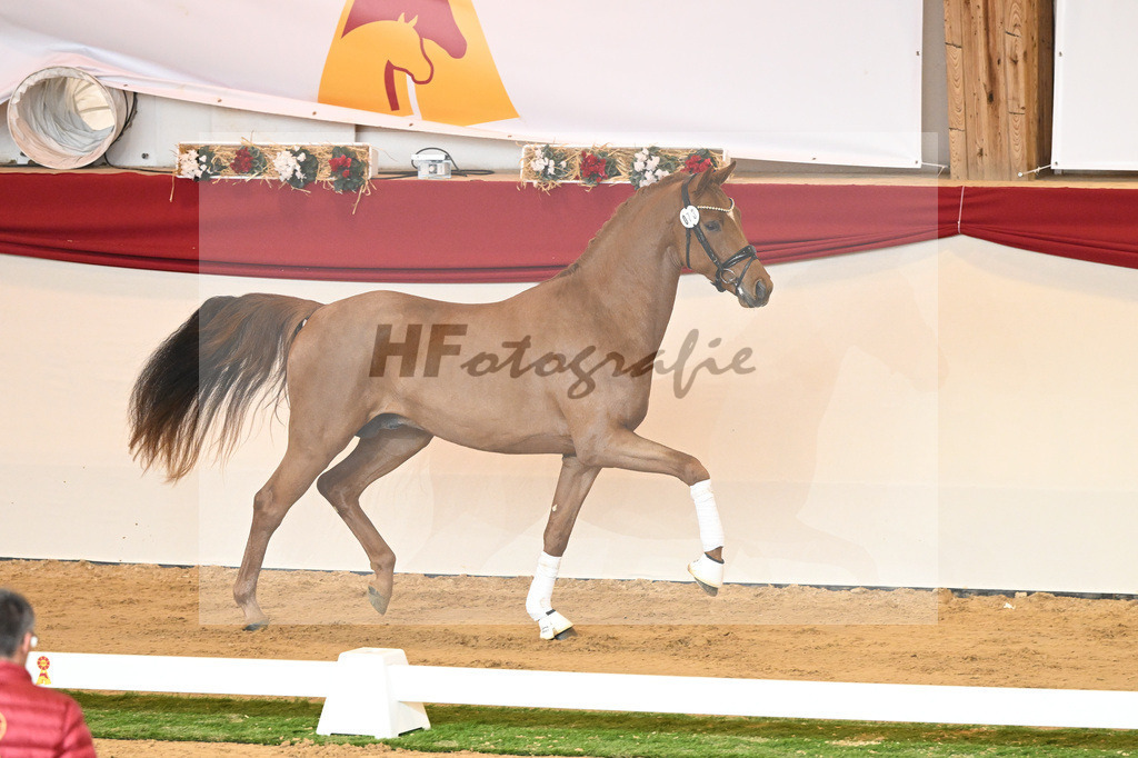 Kat-Nr. 73 Vaderland_Galneder_1230432 | hf-fotografie - Realisiert mit Pictrs.com