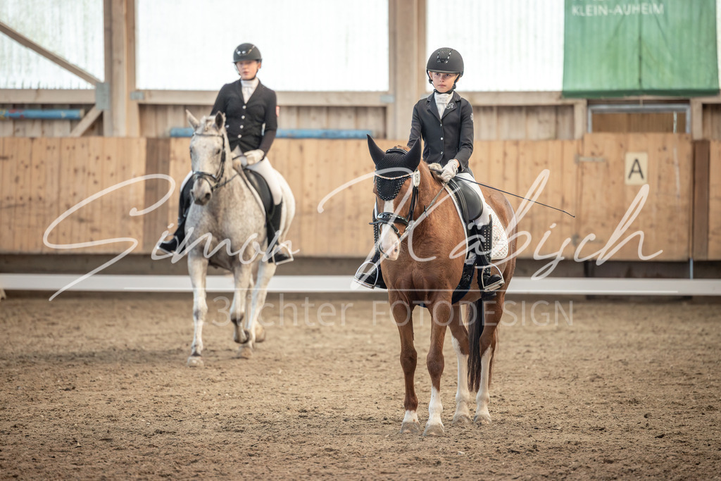 20251011-_3LI6830 | Tierfotografie Pferde, Hunde, Katzen, Haustiere.
Turnierfotografie Reitturniere, Reiten, Springreiten, Dressur in Hanau, dem Main-Kinzig-Kreis und dem Rhein-Main- Gebiet um Frankfurt